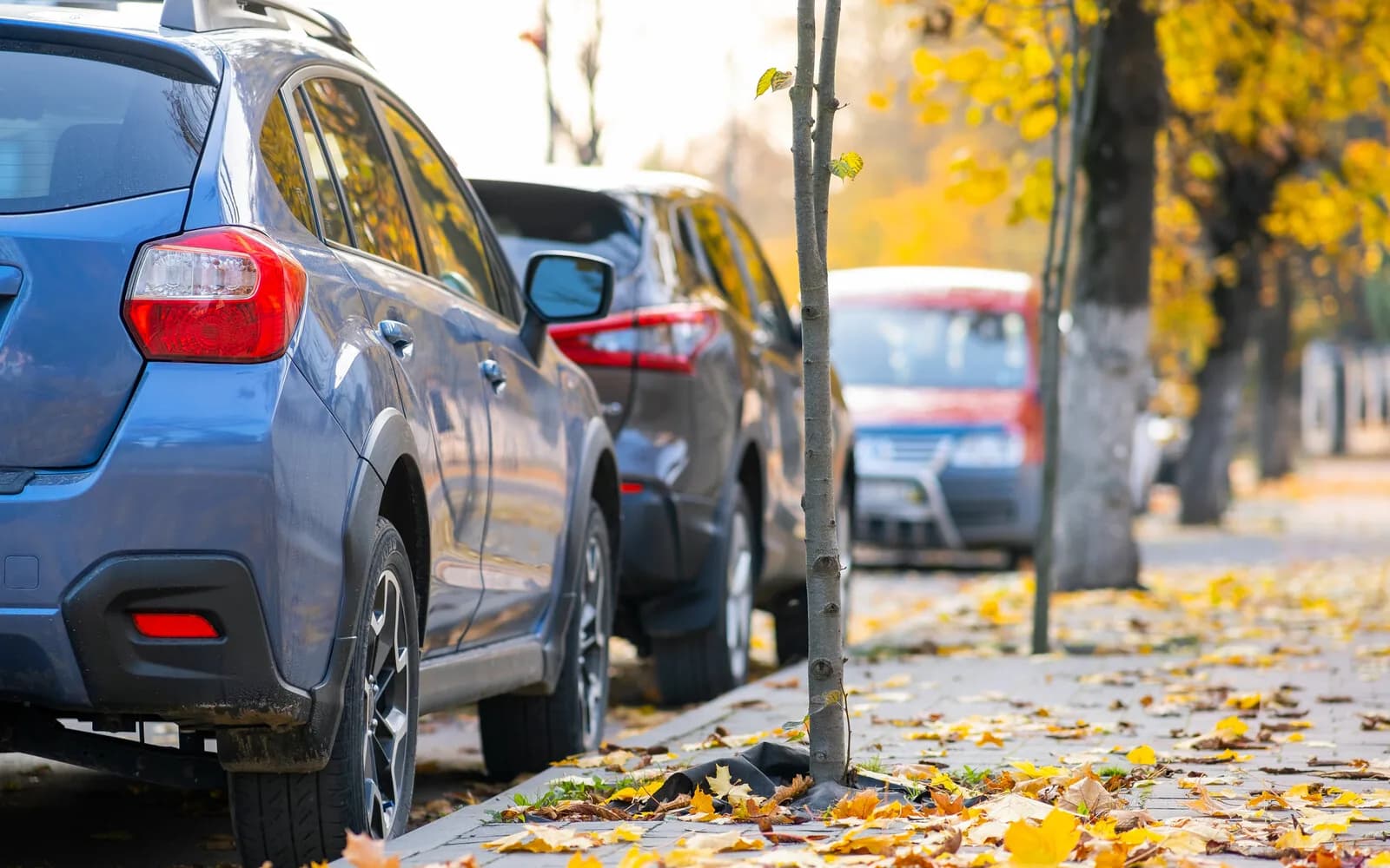 A Landlord's Guide: Tenant Abandoned a Car on Your Property — New York