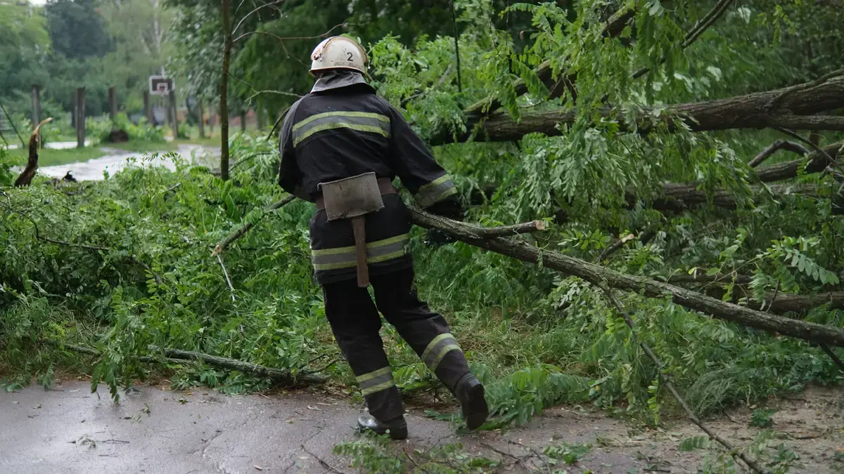 Emergency crews clearing a fallen tree after a storm